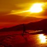 sunset